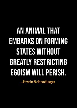 Erwin Schrodinger quotes