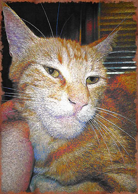 sneaky giga chad cat meme