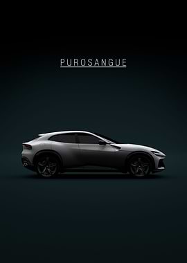 Ferrari Purosangue Grey