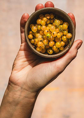 White Currants