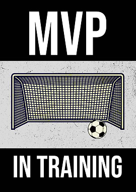 MVP SOCCER NET