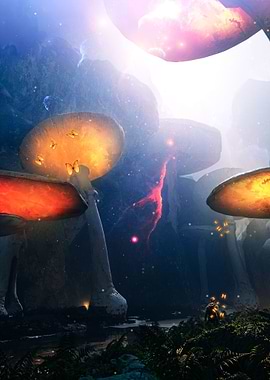 Mushroom Land