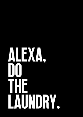 Alexa Do The Laundry
