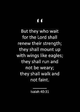 Isaiah 40 31