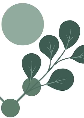 Boho plants monochromatic