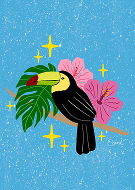 Summer toucan