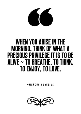 Marcus Aurelius Quote