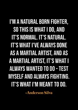 Anderson Silva quotes