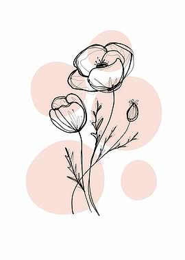 Delicate Botanicals Poppy