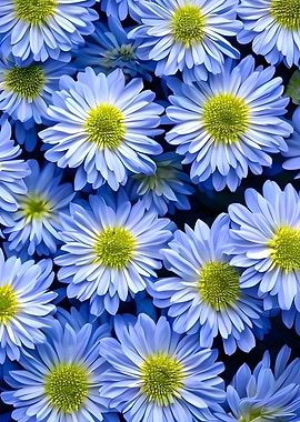 flower wallpaper pattern