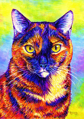 Rainbow Tortoiseshell Cat