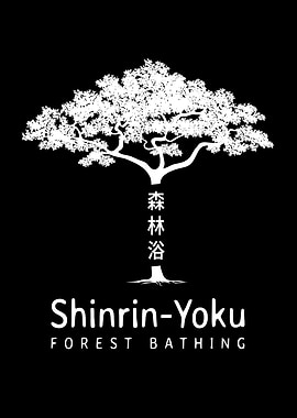 Shinrin Yoku Forest