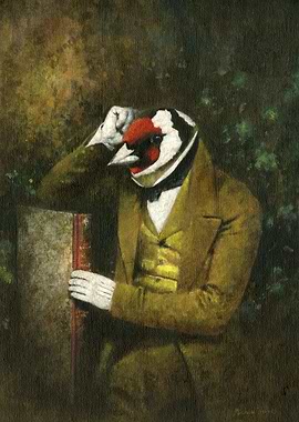 Goldfinch Gentleman