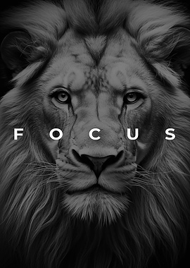 Lion Focus