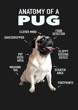 Pug