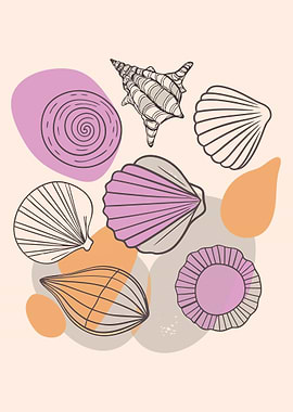 Seashells