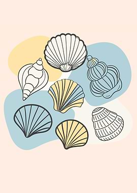 Seashells