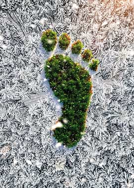 Natures footprint in snow