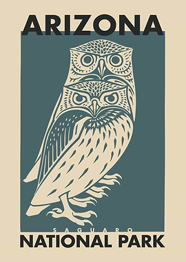 Arizona Saguaro Park