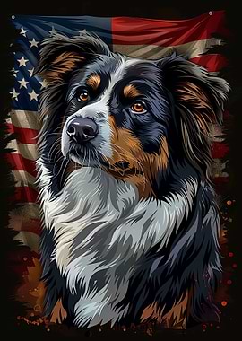Australian Shepherd Usa