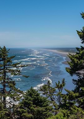 Pacific Ocean beauty