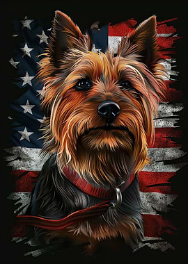 Australian Terrier Usa