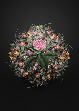 French Hydrangea Wreath