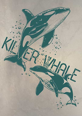 Killer Whale Orca