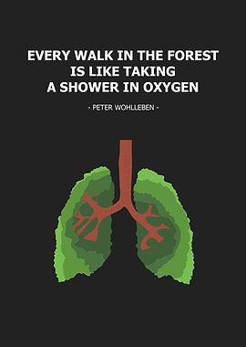 every walk in the forest