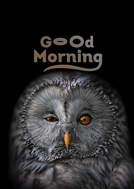 Funny Owl Good Morning