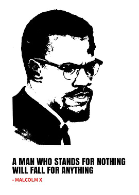 Malcolm x quotes