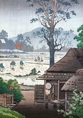 Rice Planting in Rainy Day