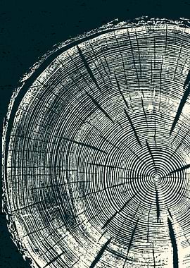 tree ring wood cut