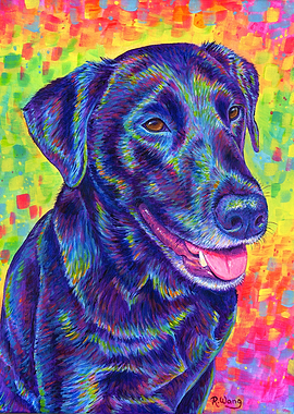 Rainbow Black Labrador Dog