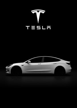 Tesla Model S White Cars