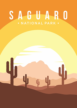 Saguaro National Park