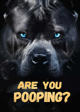 Pitbull Are You Pooping