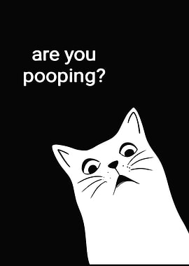 Fat Cat Toilet are pooping