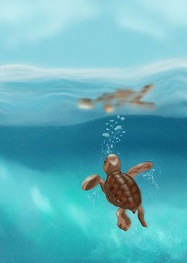 The sea turtle
