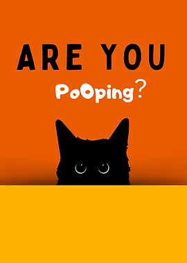 BLACK CAT ARE YOU POOPING