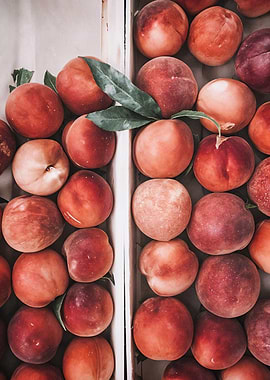 Summer Peaches