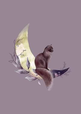 Cat and Moon