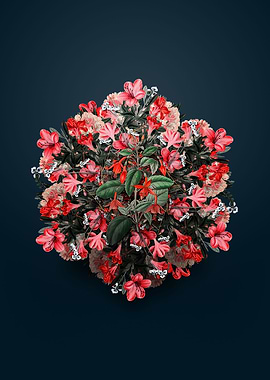 Standishs Fuchsia Flower