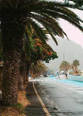 Tropical Street View