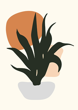 Botanical leaf shapes