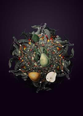 Winter Citron Wreath