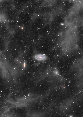 M81 M82 and the IFN