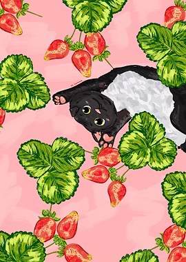 Summer Strawberry Cat