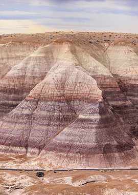 nature violet mountain