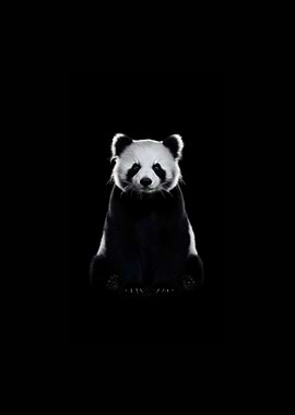 Panda pitch black